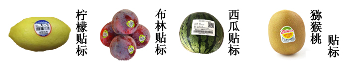 全自動水果貼標機