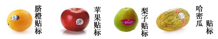 全自動水果貼標機